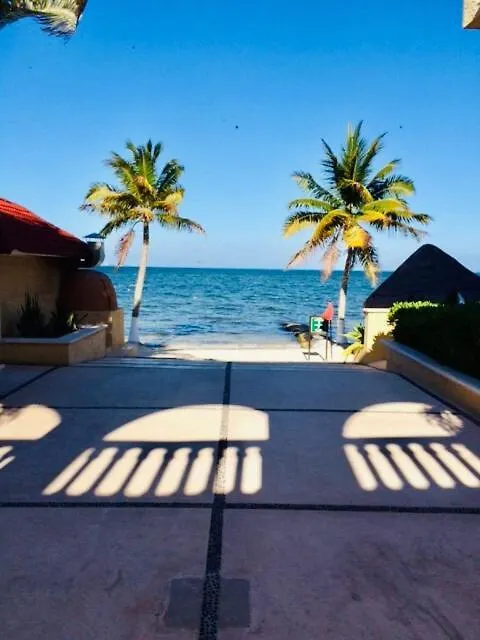 Punta Me Apartment Beach Front In The Hotel & Waterpark カンクン メキシコ